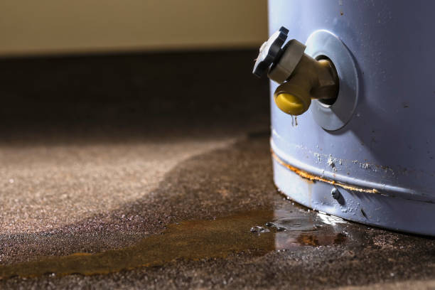 Best Mold removal after water damage  in Diamond Springs, CA