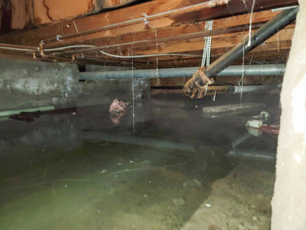 Best 24/7 water damage repair  in Diamond Springs, CA