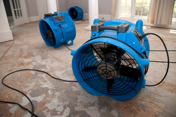 Best Water damage contractors near me  in Diamond Springs, CA